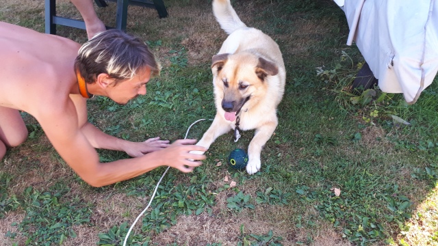 ../fotos/het_verlaat_2018/2018-07-31 18.09.08.jpg